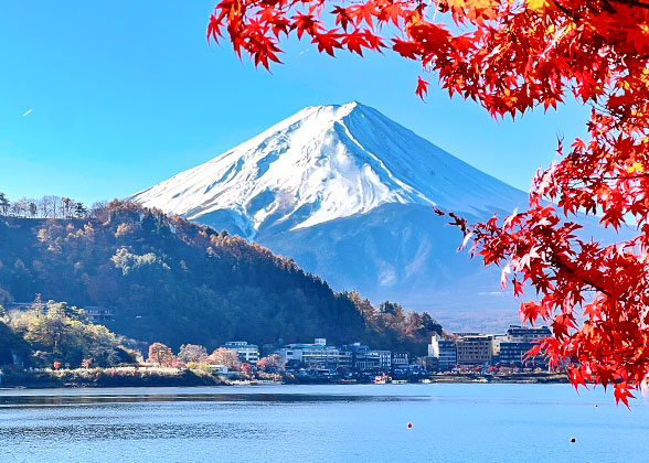 Mt. Fuji Mt. Fuji
